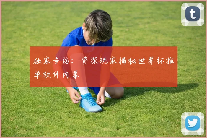 独家专访：资深玩家揭秘世界杯推单软件内幕